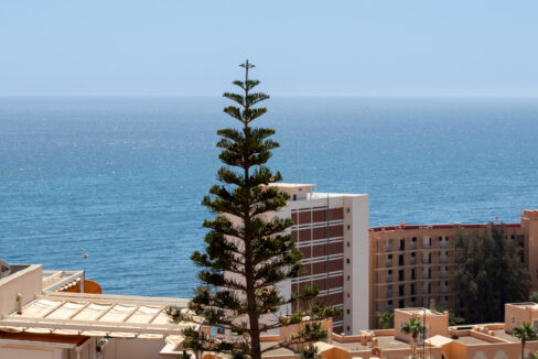 Plot Aguadulce-A41w